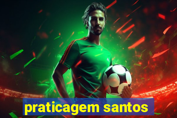 praticagem santos